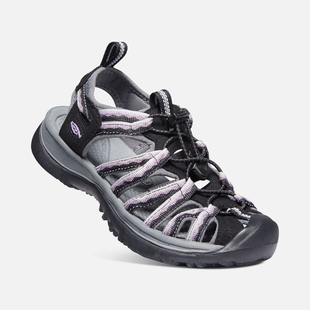 Keen Outdoor Sandalet Kadın Mor/Siyah - Whisper - Türkiye ZWTB48365